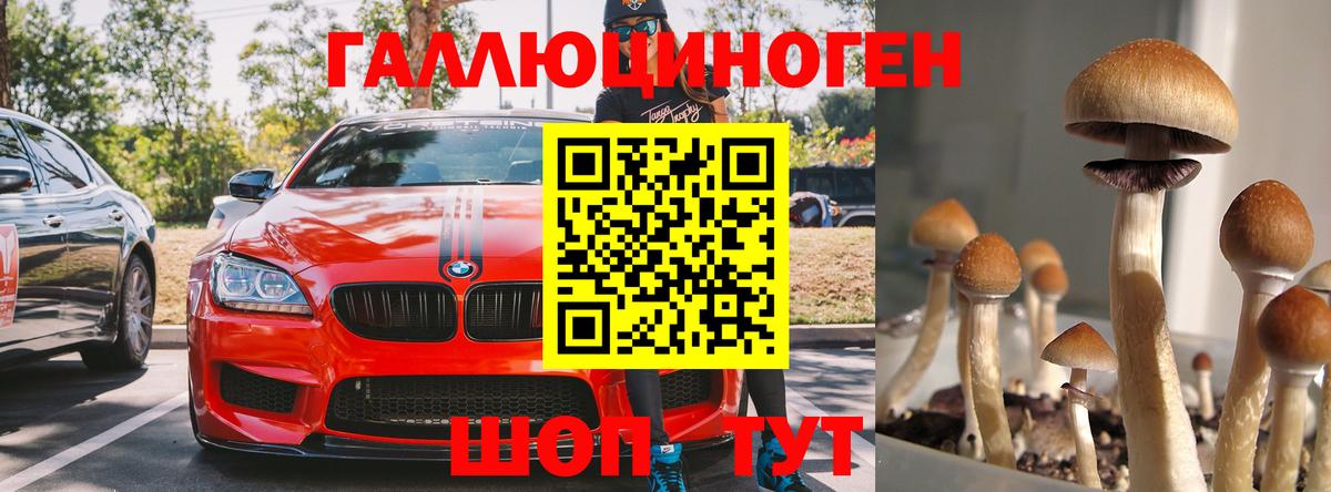 Галлюциногенные грибы мицелий  Вход с VPN  Лесозаводск  сколько стоит  Галлюциногенные грибы Cubensis 