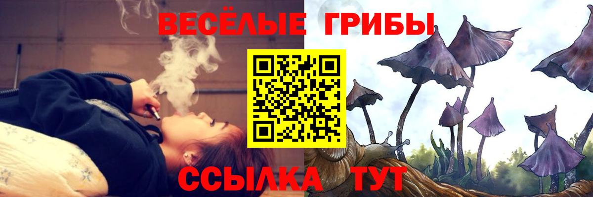 Галлюциногенные грибы мицелий Лесозаводск